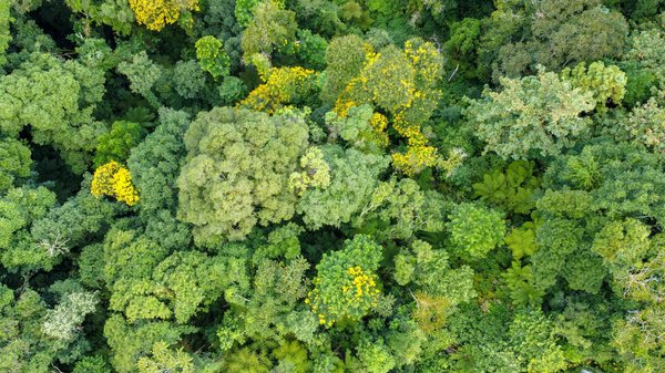 Panneau solaire photovoltaïque : faites le choix de l'autoconsommation