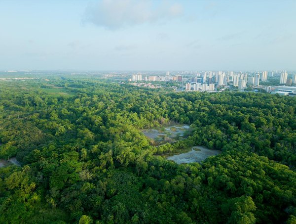 Où utiliser les chèques vacances en 2026 : guide des lieux acceptant ce mode de paiement