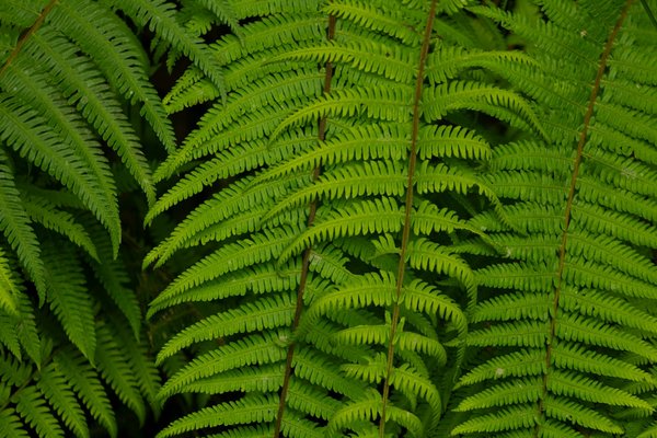 Médecine interne vs médecine de famille : comprendre les différences