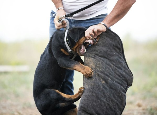 Top conseils pour renforcer la sécurité de votre porte en bois